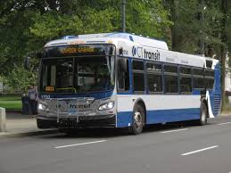 CT Transit New Haven - Wikipedia