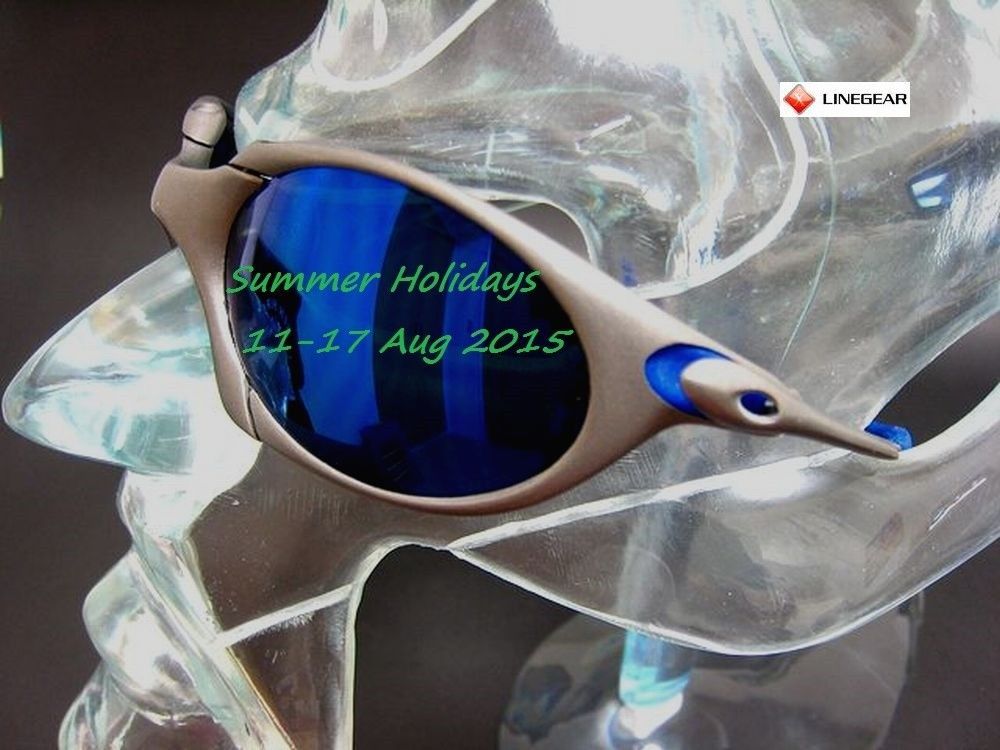 2015 summer holidays info.JPG