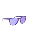 2106Y10624Frogskins35thAnnivPURangle_small.png