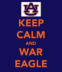 2c3068f78b318108c58c407cb28326ff--auburn-football-auburn-tigers.jpg