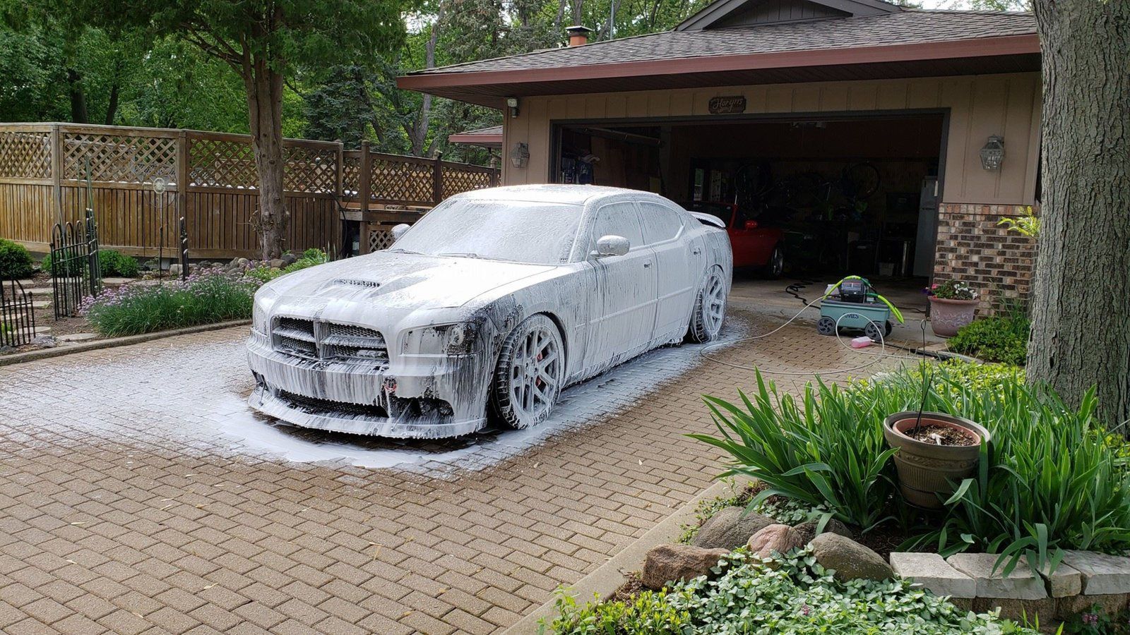 33154319_10157449617699922_1411236376979963904_o (1).jpg