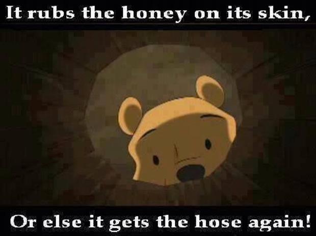 a-funny-winnie-the-pooh.jpg