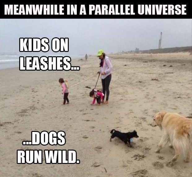 a-kids-on-leashes-dogs-run-free1.jpg