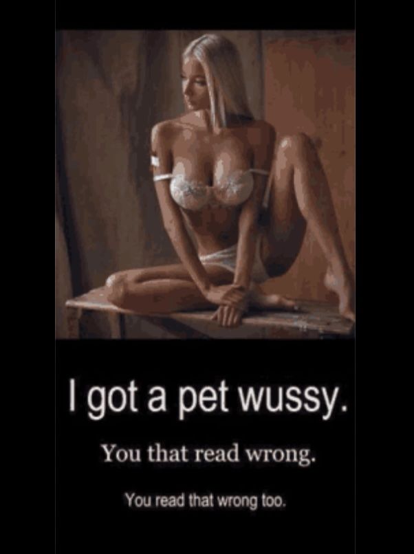 A pet  wussy.jpg