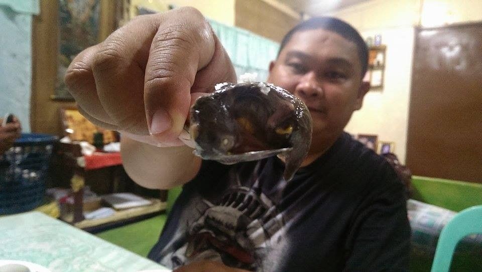 balut_zps86885b4c.jpg