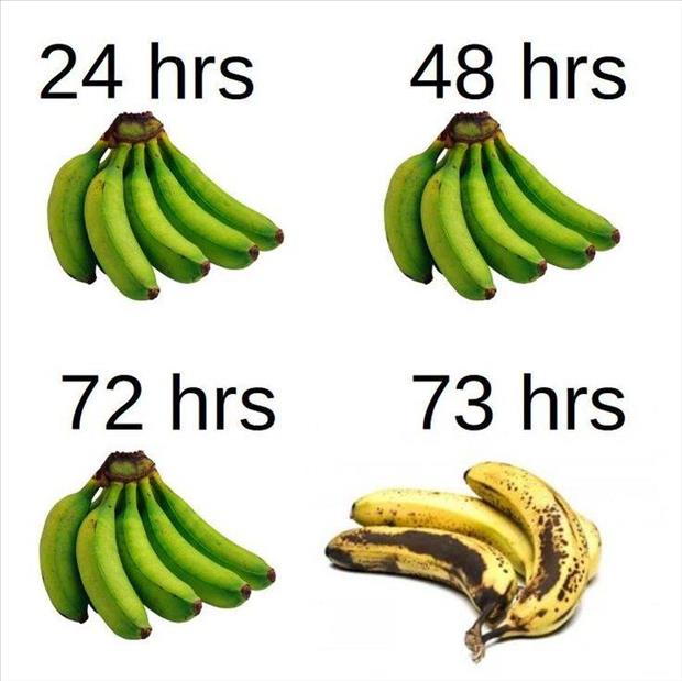 bananas.jpg