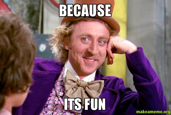because-its-fun.jpg