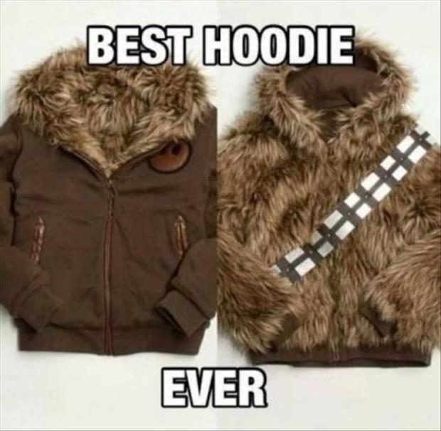best-hoodie-ever.jpg