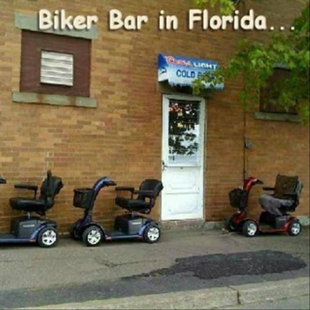 biker-bar-funny-pictures.jpg