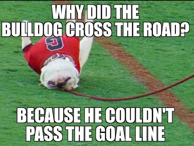 Bulldog-crosses-the-road-MEME.jpg