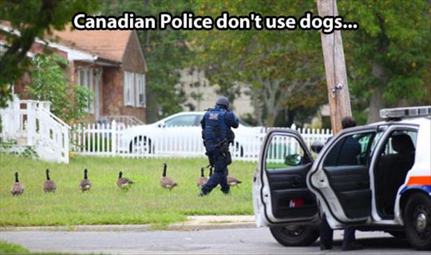 canadian-police-funny-pictures.jpg