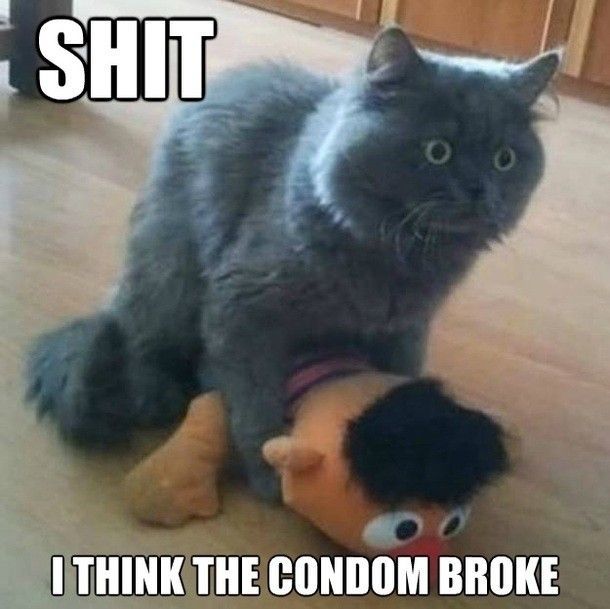 condom broke.jpg