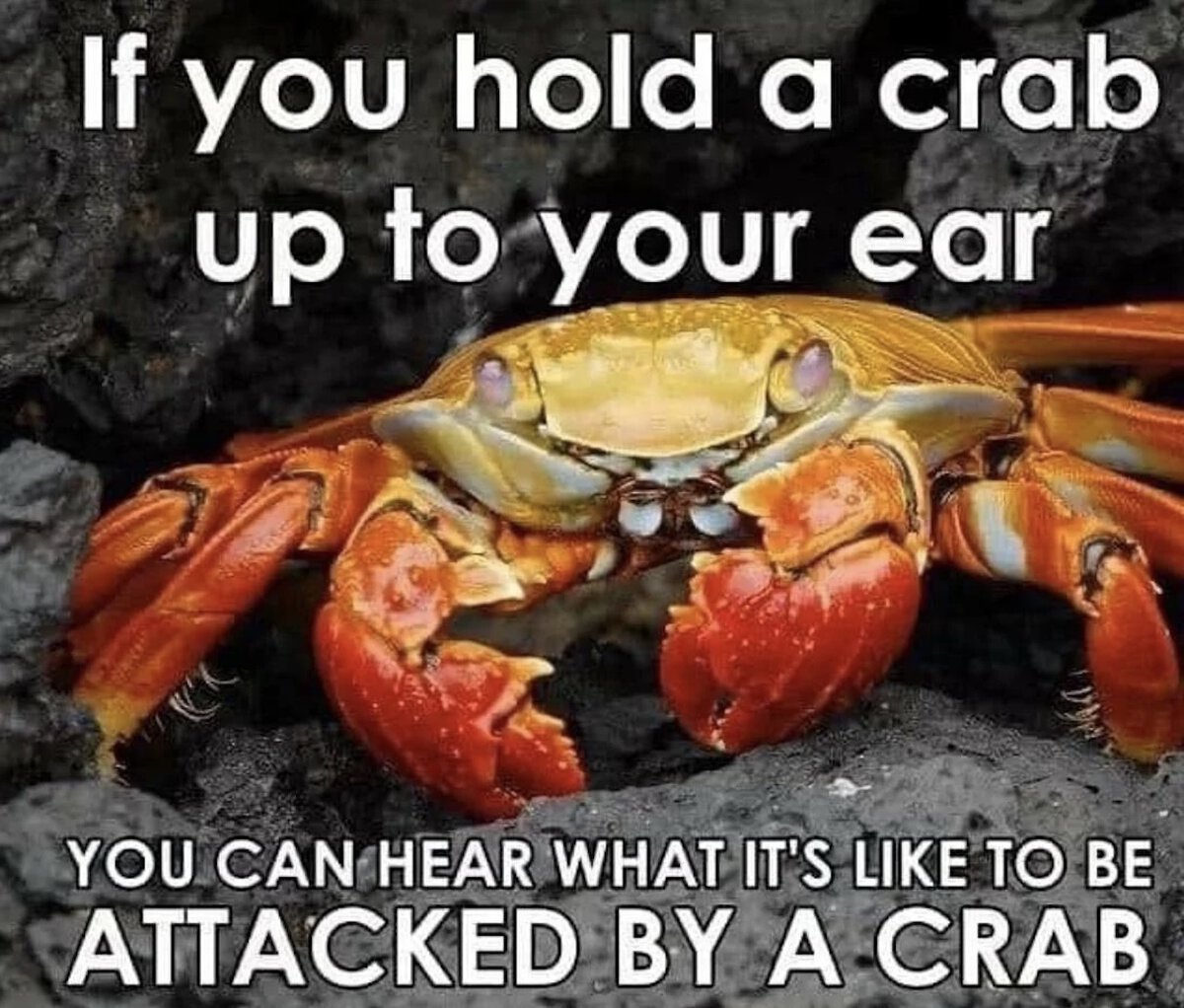 Crab to your ear.jpg