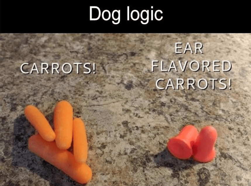 Dog logic.png