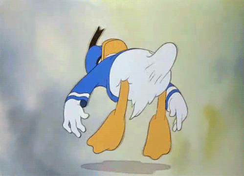 Donald Duck 2.gif