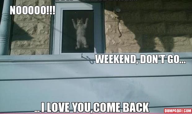 dont-leave-me-weekend-I-love-you-come-back.jpg