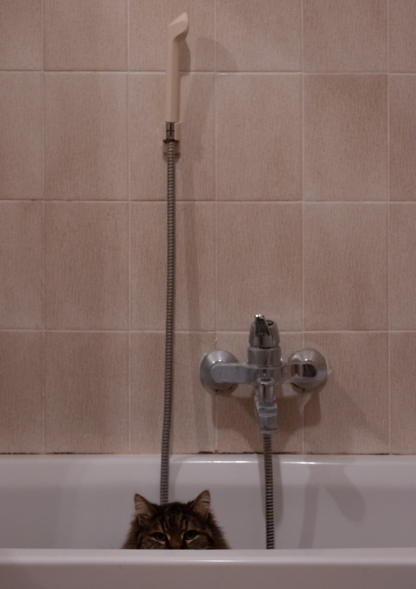 DSC_0078 - Copy-3 - Copy3.png