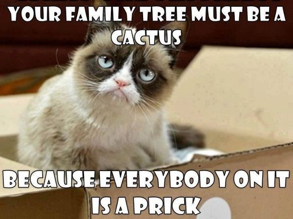 f764cafed7916f15bca75d01958ef120--grumpy-cat-quotes-cat-memes.jpg