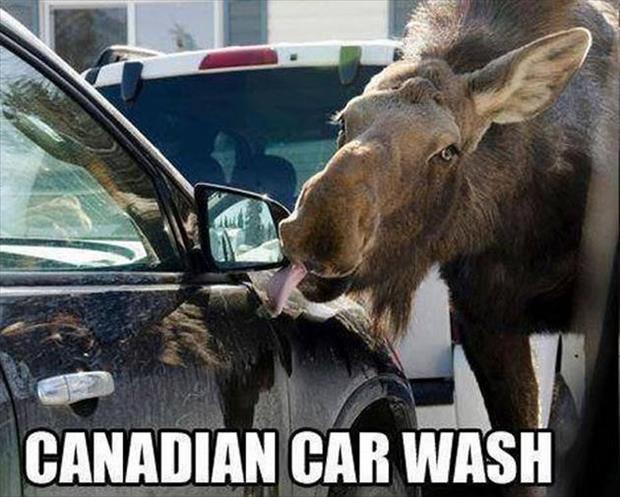 funny-canadian-car-wash.jpg