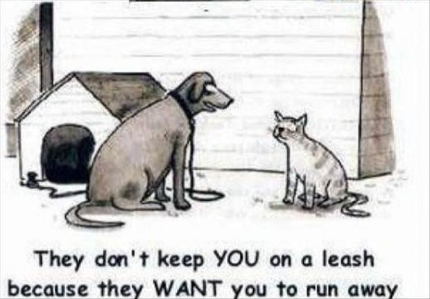 funny-dogs-and-cats-comic.jpg