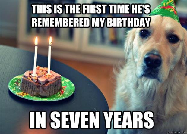 funny-pictures-dog-years1.jpg