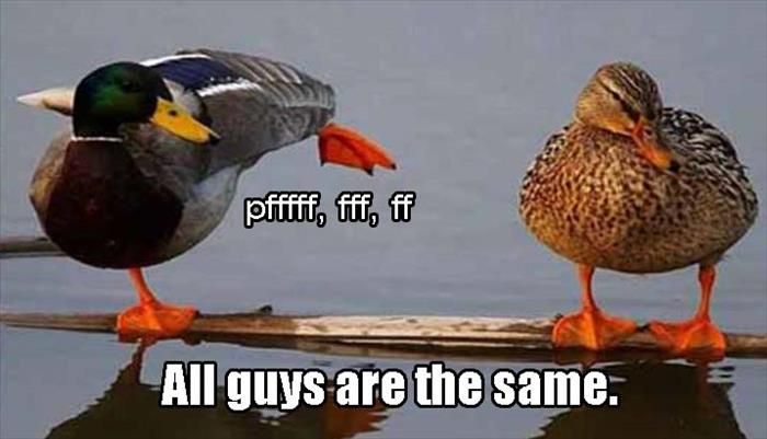 guys-are-all-the-same.jpg