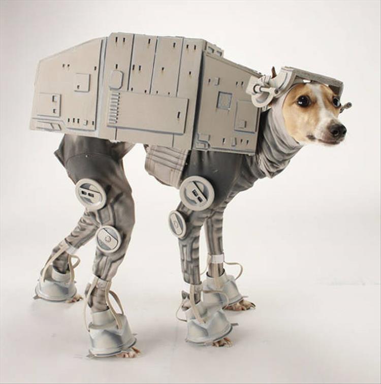 halloween-dog-costuem-ideas-8.jpg