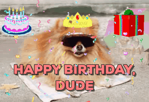 Happy birthday dude dog.gif