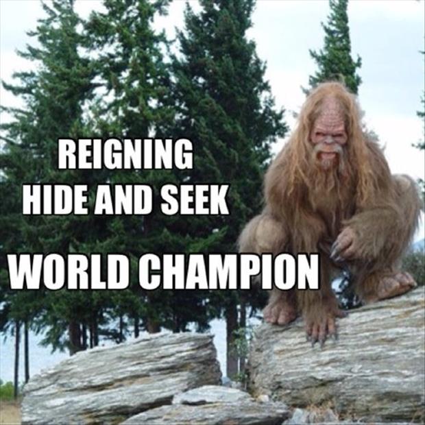 hide-and-go-seek-champion.jpg