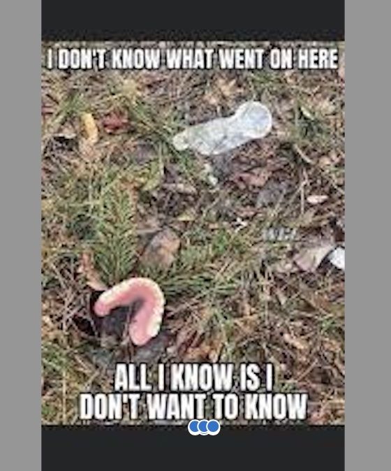 I don't wanna know.jpg