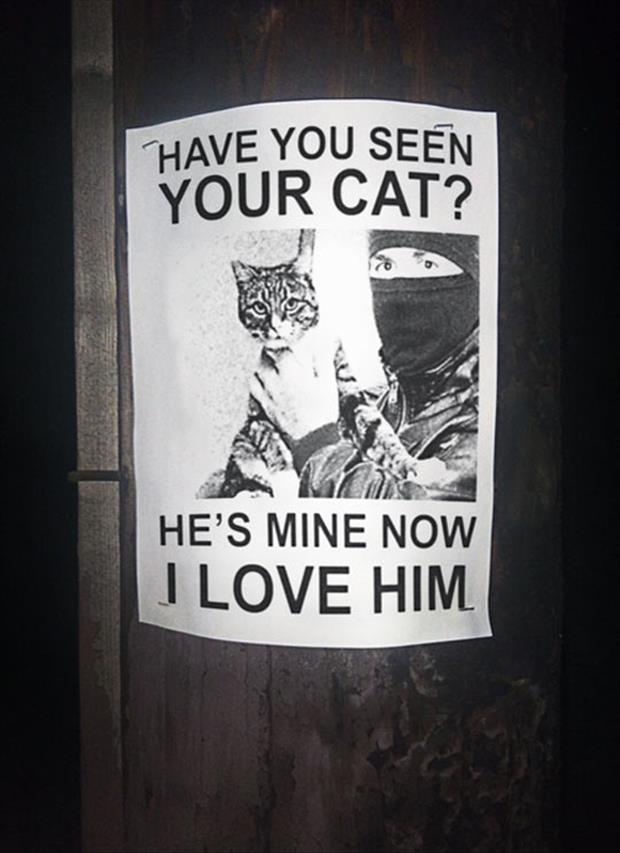 I-love-your-cat.jpg