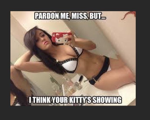 I think your kitty is showing.jpg