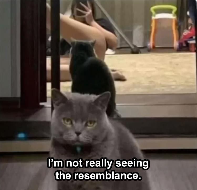 Im-not-seeing-the-resembelance.jpg