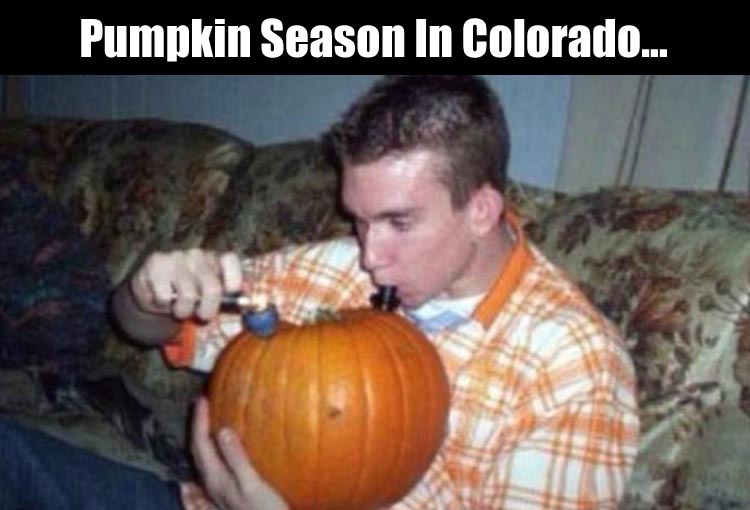 its-pumpkin-season.jpg