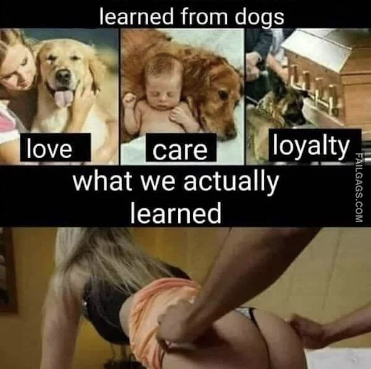 Learned from dogs.jpg