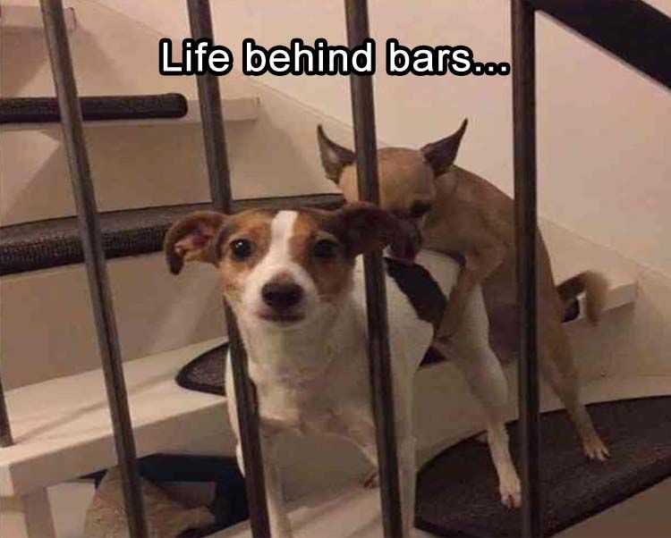 life-behind-bars.jpg