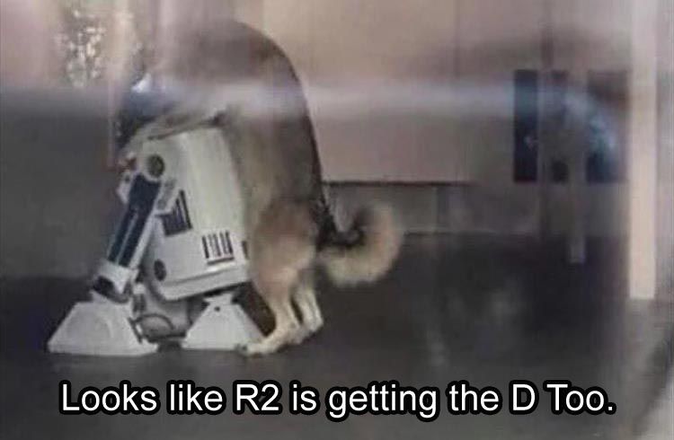 looks-like-R2-Got-The-D-Too.jpg