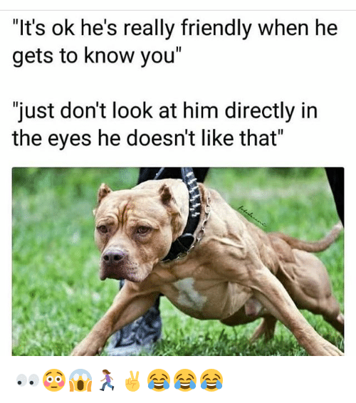 lts-ok-hes-really-friendly-when-he-gets-to-know-30757558.png