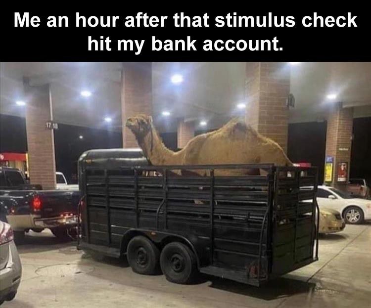 me-an-hour-after-I-get-my-stimulus-check.jpg