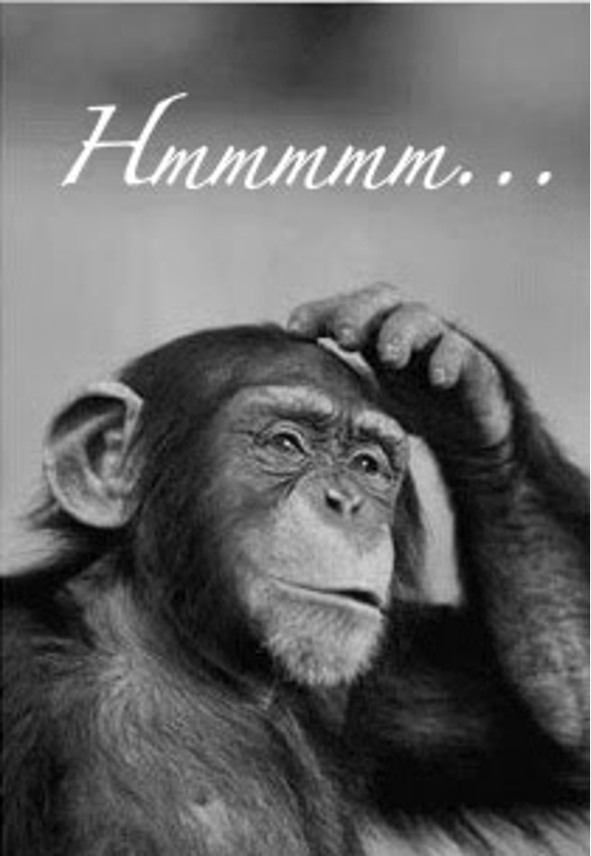 monkey_scratching_head.jpg