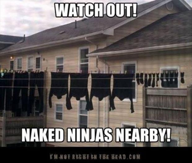 naked-ninjas.jpg