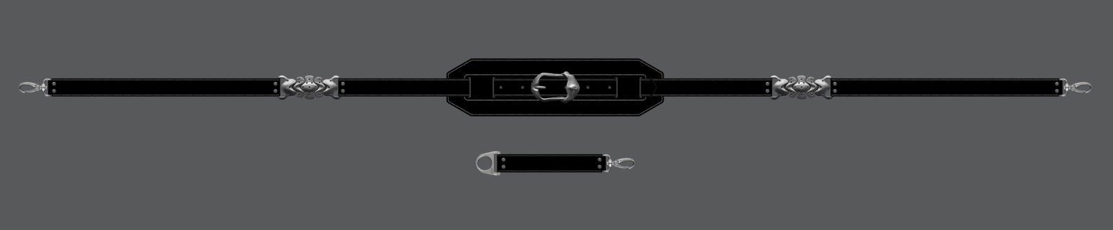 Oakley Camera Strap.jpg