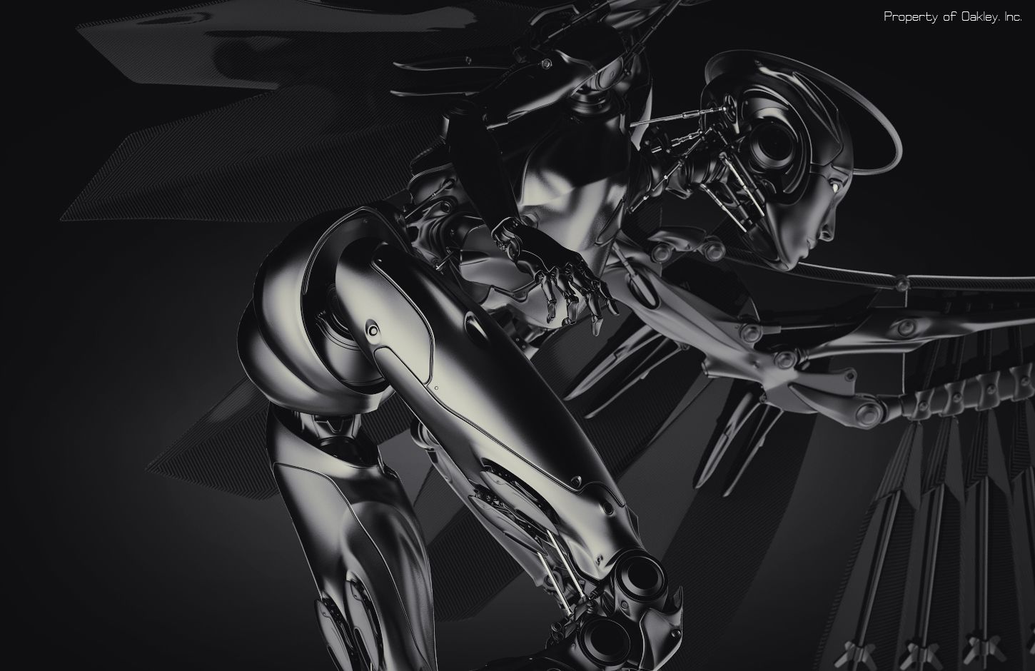 OakleyAngel_05.jpg