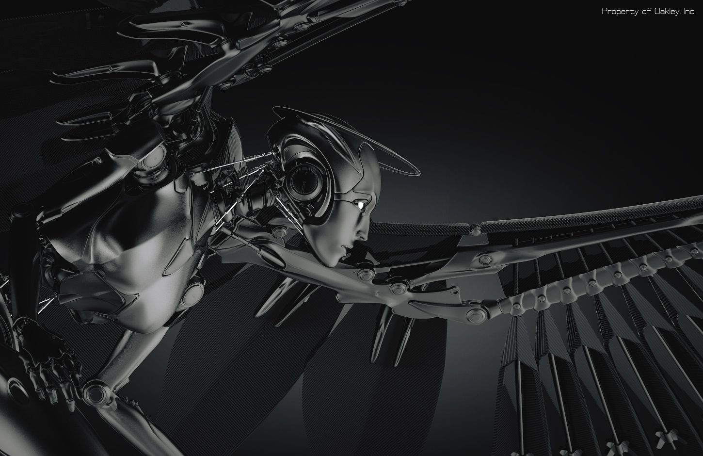 OakleyAngel_06.jpg