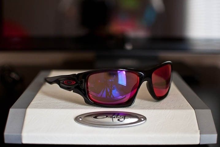 oakleynew-11.jpg