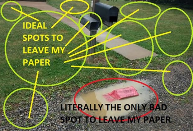 paper-delivery.jpg