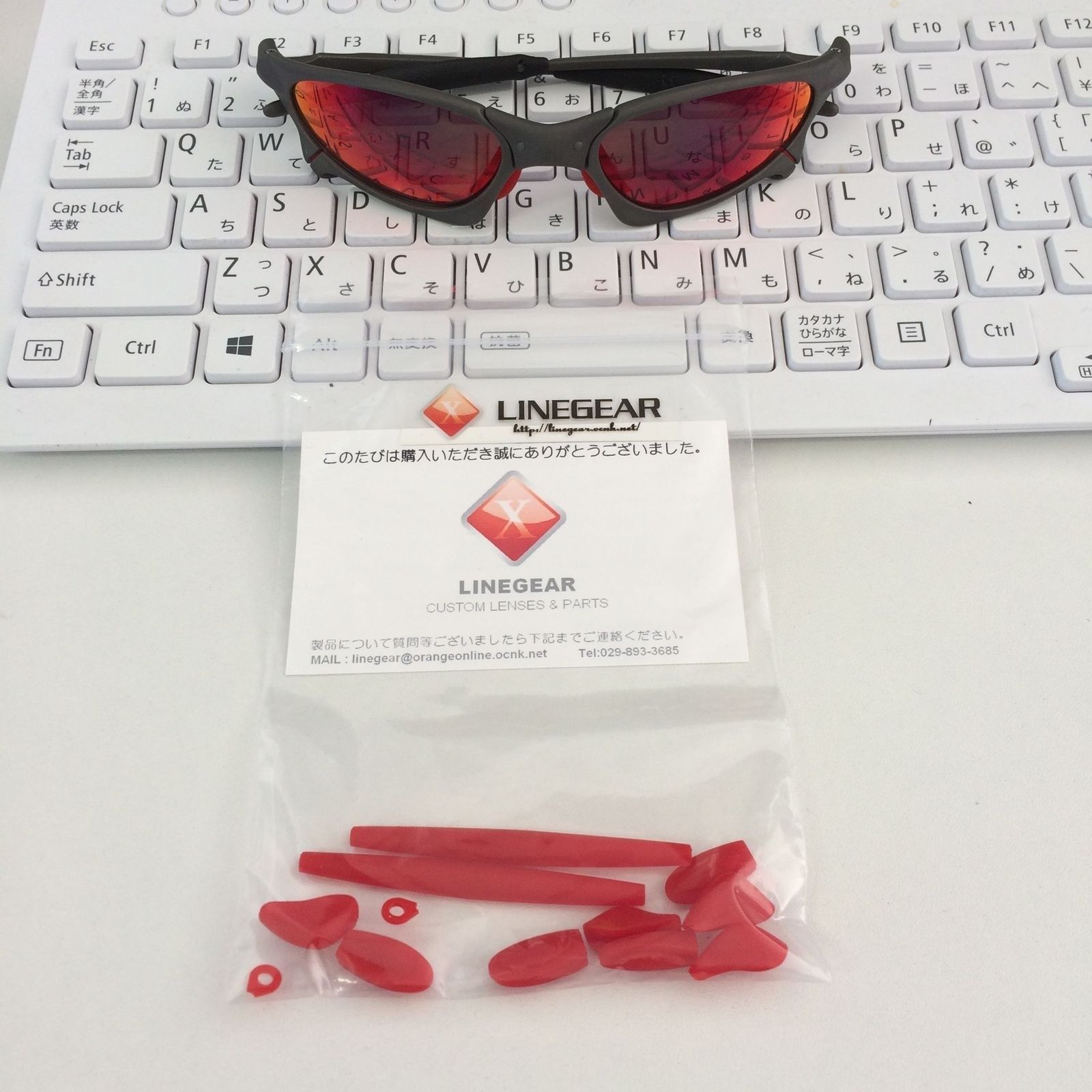 PE-CRS-RD with Penny in background_100315.JPG