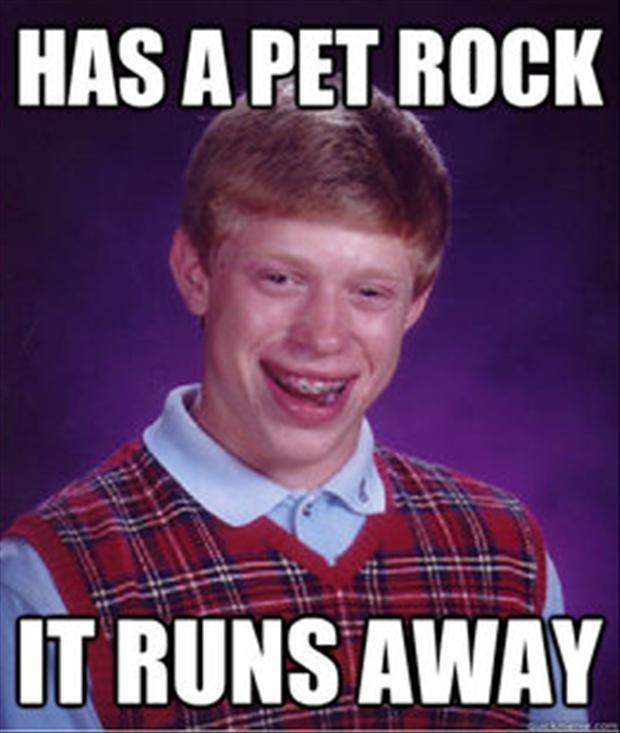 pet-rock-meme.jpg