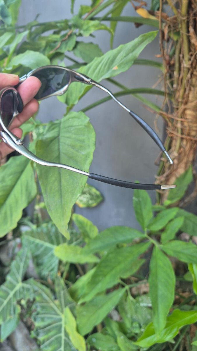 PHOTO-2024-10-24-10-01-36 6.jpeg