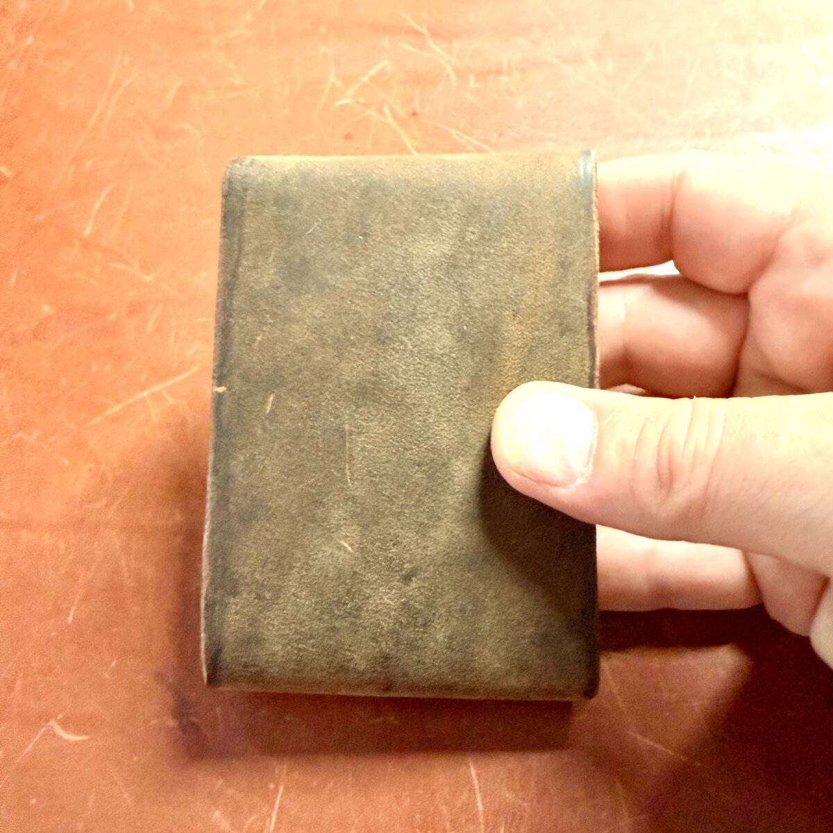 Photo 4-24-26, 7 54 09 am.jpg